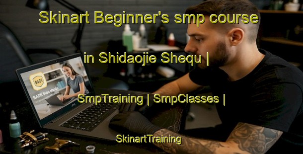 Skinart Beginner's smp course in Shidaojie Shequ | SmpTraining | SmpClasses | SkinartTraining-China